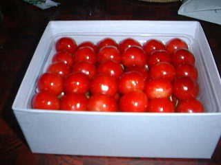 �g���R���C�X