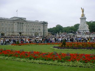 �o�b�L���K���{�a