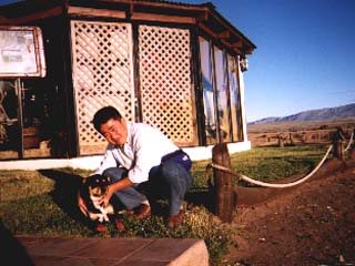 牧羊犬マックス